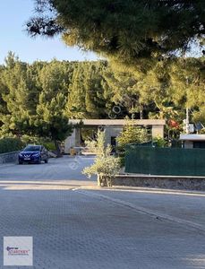 Konut-Villa