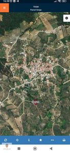 Arsa-Zeytinlik