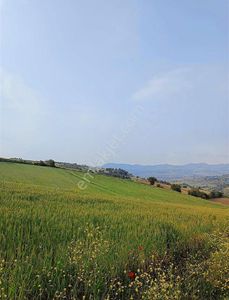 Arsa-Tarla
