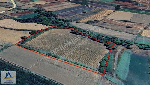 Arsa-Tarla