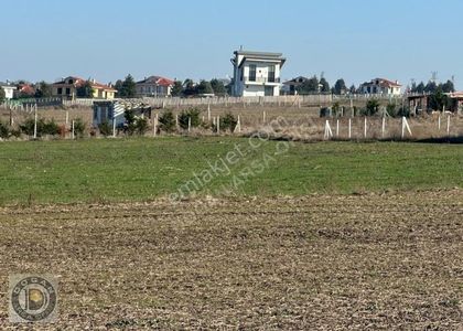 Arsa-Konut İmarlı