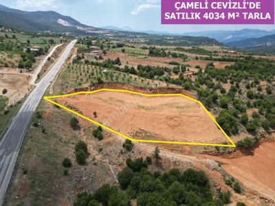 Arsa-Tarla