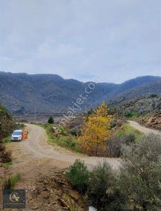 Arsa-Bağ & Bahçe
