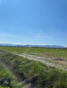 Arsa-Tarla