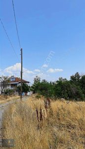 Arsa-Bağ & Bahçe