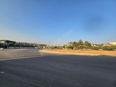 Arsa-Villa İmarlı