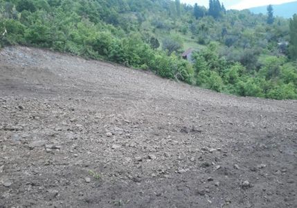 Arsa-Tarla