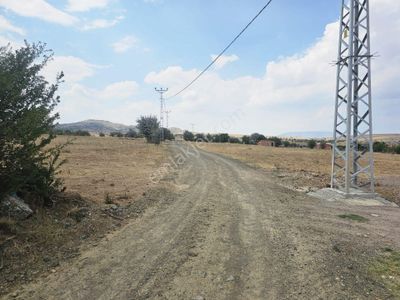 Arsa-Tarla