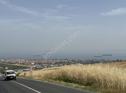 Arsa-Tarla