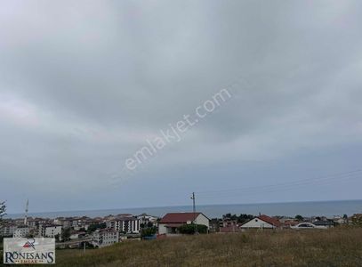 Arsa-Villa İmarlı