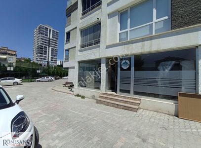 İşyeri-Dükkan & Mağaza
