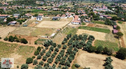 Arsa-Tarla
