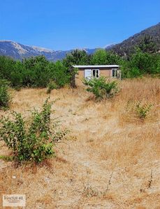 Arsa-Tarla