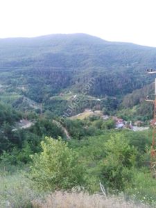 Arsa-Tarla