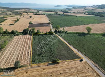 Arsa-Tarla