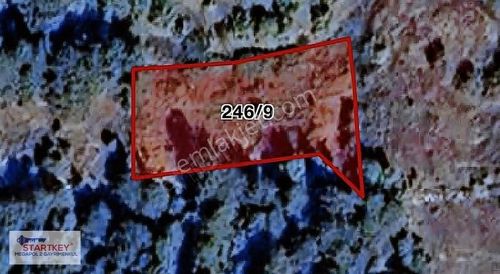 Arsa-Bağ & Bahçe
