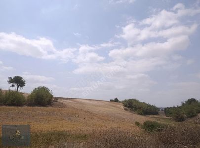 Arsa-Konut İmarlı