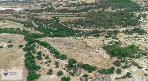 Arsa-Tarla