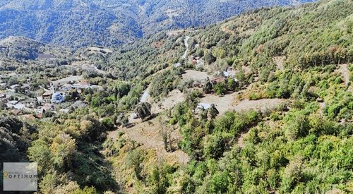 Arsa-Tarla