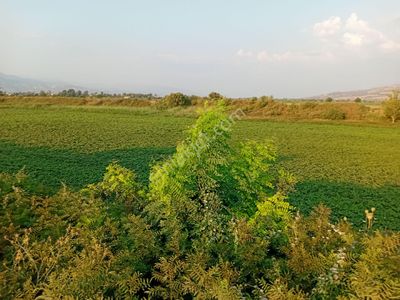 Arsa-Bağ & Bahçe