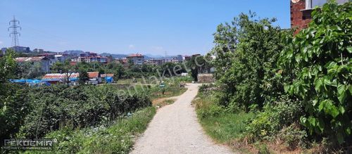 Arsa-Konut İmarlı