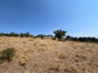 Arsa-Tarla