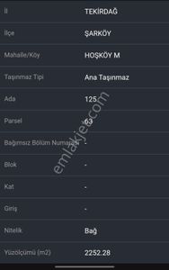 Arsa-Zeytinlik