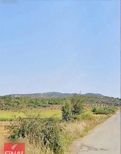 Arsa-Tarla