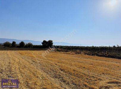 Arsa-Tarla