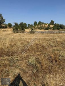 Arsa-Tarla