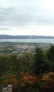 Arsa-Tarla
