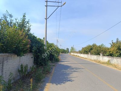 Arsa-Konut İmarlı