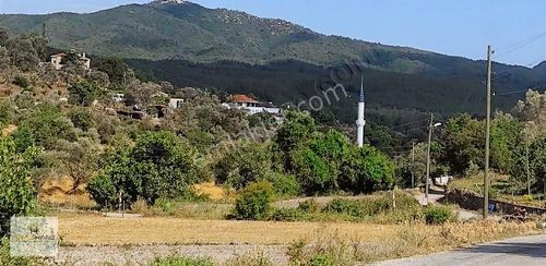 Arsa-Villa İmarlı