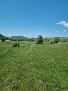 Arsa-Tarla