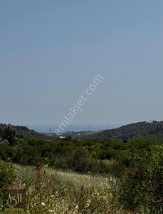 Arsa-Tarla