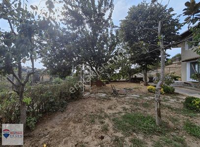 Arsa-Bağ & Bahçe