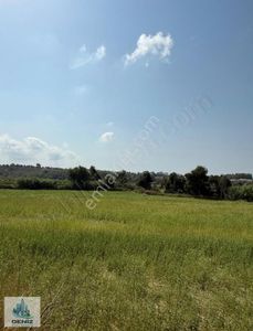 Arsa-Tarla