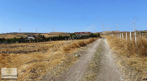 Arsa-Tarla