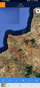 Arsa-Zeytinlik