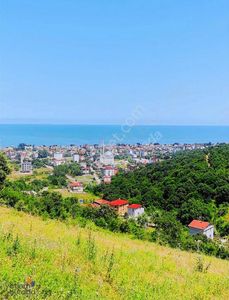 Arsa-Villa İmarlı
