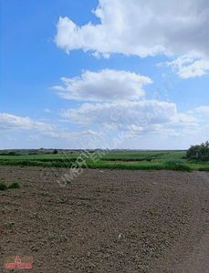 Arsa-Tarla