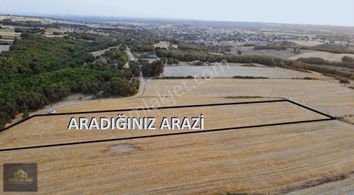 Arsa-Tarla