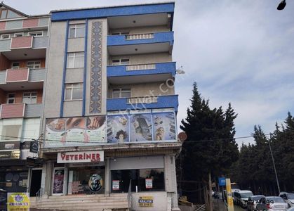 İşyeri-Dükkan & Mağaza