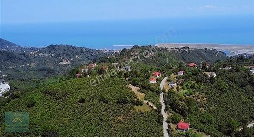 Arsa-Bağ & Bahçe