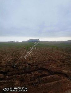Arsa-Sanayi İmarlı