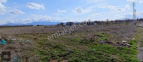 Arsa-Konut İmarlı