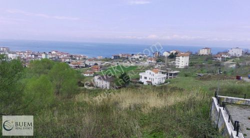 Arsa-Konut İmarlı