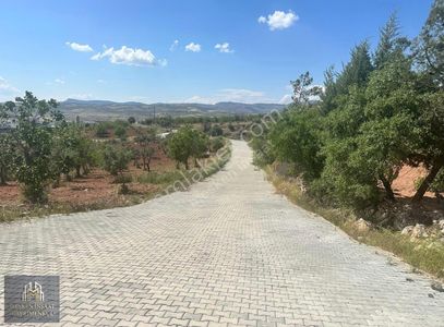 Arsa-Muhtelif Arsa