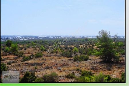 Arsa-Villa İmarlı