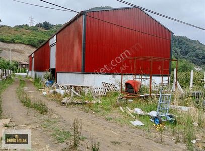 İşyeri-Depo